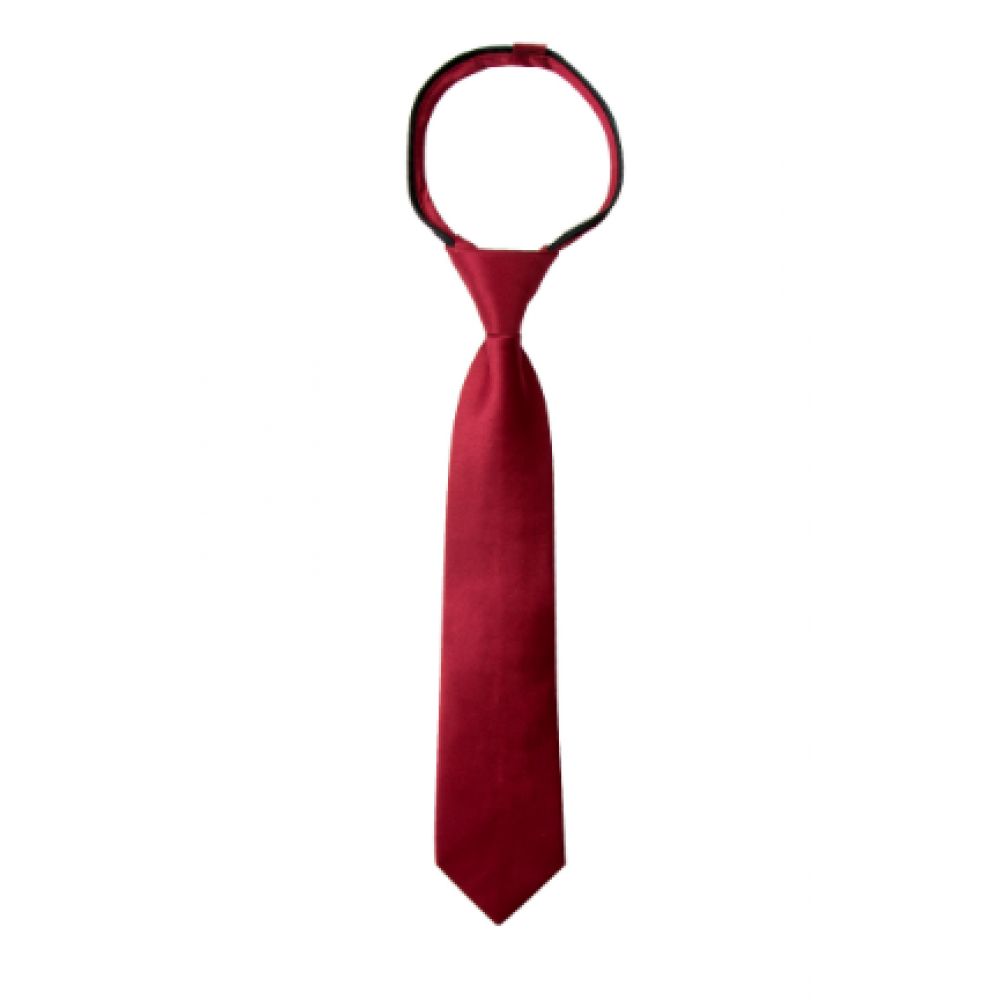 Men Solid Color Satin Zipper Tie