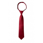 Men Solid Color Satin Zipper Tie