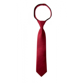 Men Solid Color Satin Zipper Tie